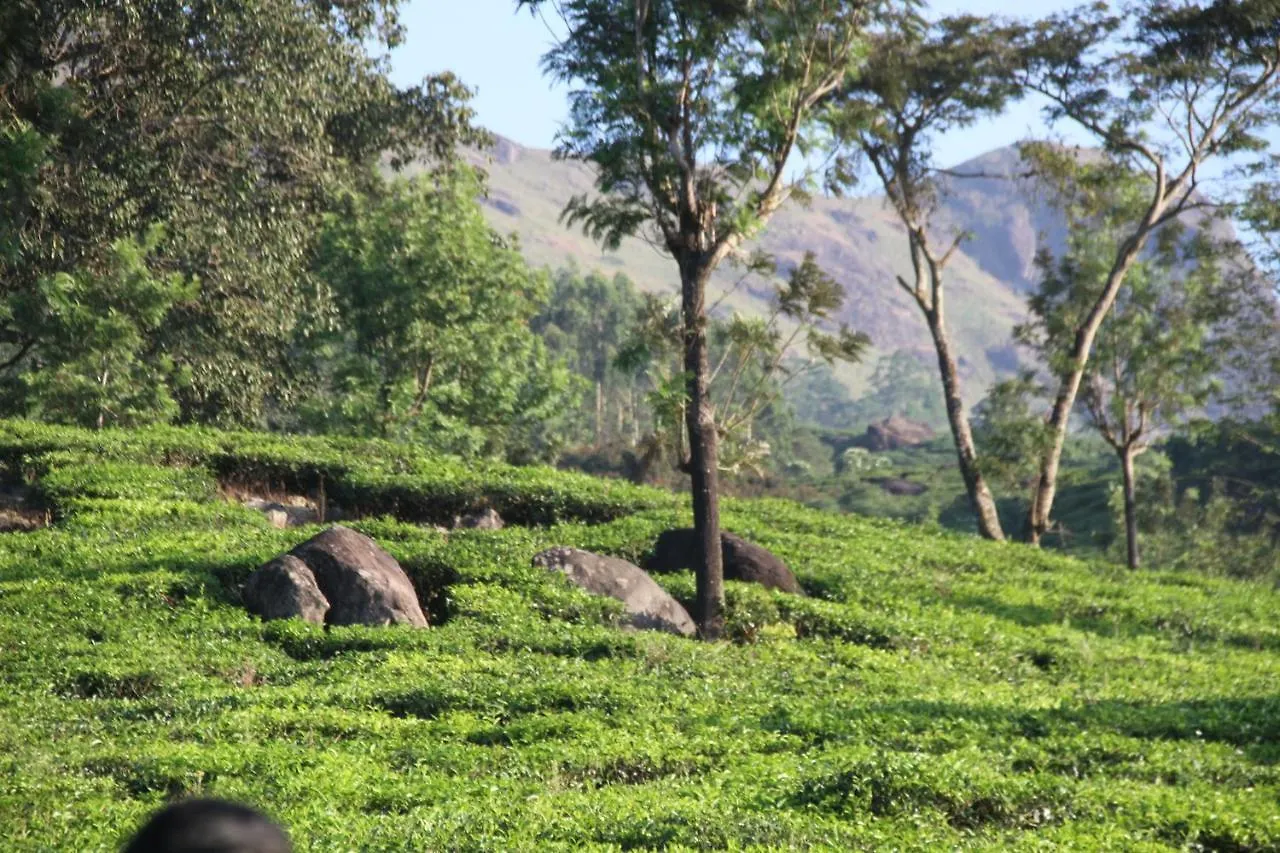 Chandys Windy Woods Munnar Resort