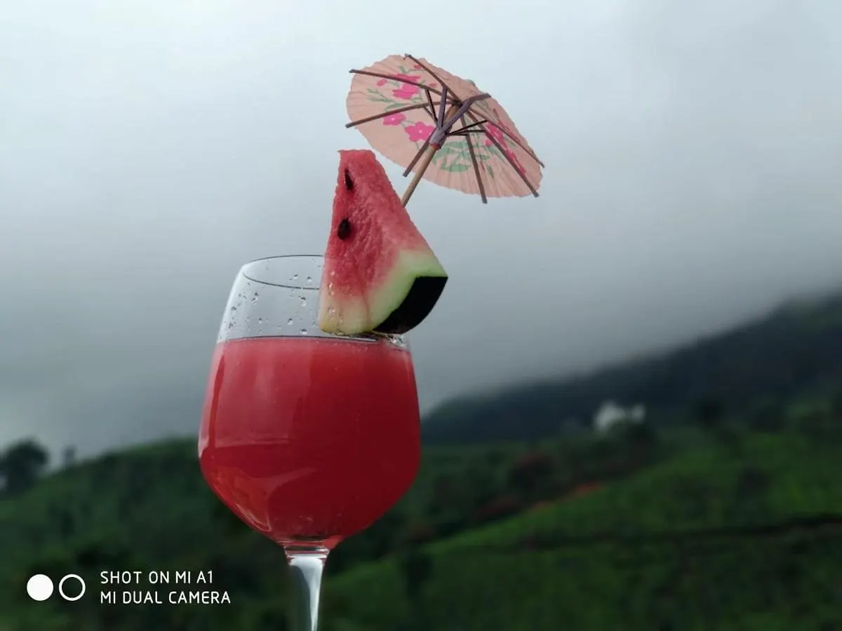 坎迪斯文迪伍兹酒店 蒙纳